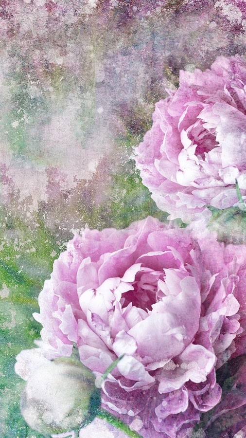 Vintage Roses Live Wallpaper Android Apps On Google Play