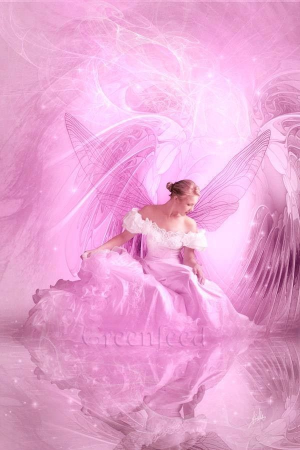 Free download Pink fairy Angel pictures Fairy angel Beautiful fairies  [600x900] for your Desktop, Mobile & Tablet | Explore 26+ Pink Angel  Wallpapers | Criss Angel Wallpaper, Alison Angel Wallpaper, Goth Angel  Wallpaper