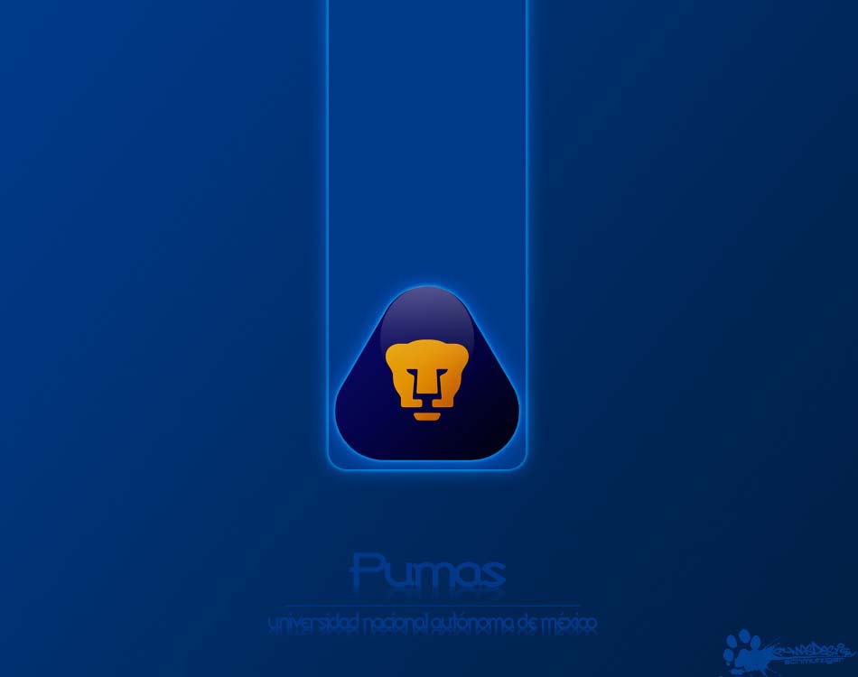 Pumas Unam Wallpaper iPhone Sportissue