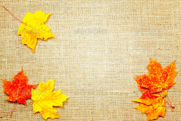 Fall Background Stock Photo Photodune