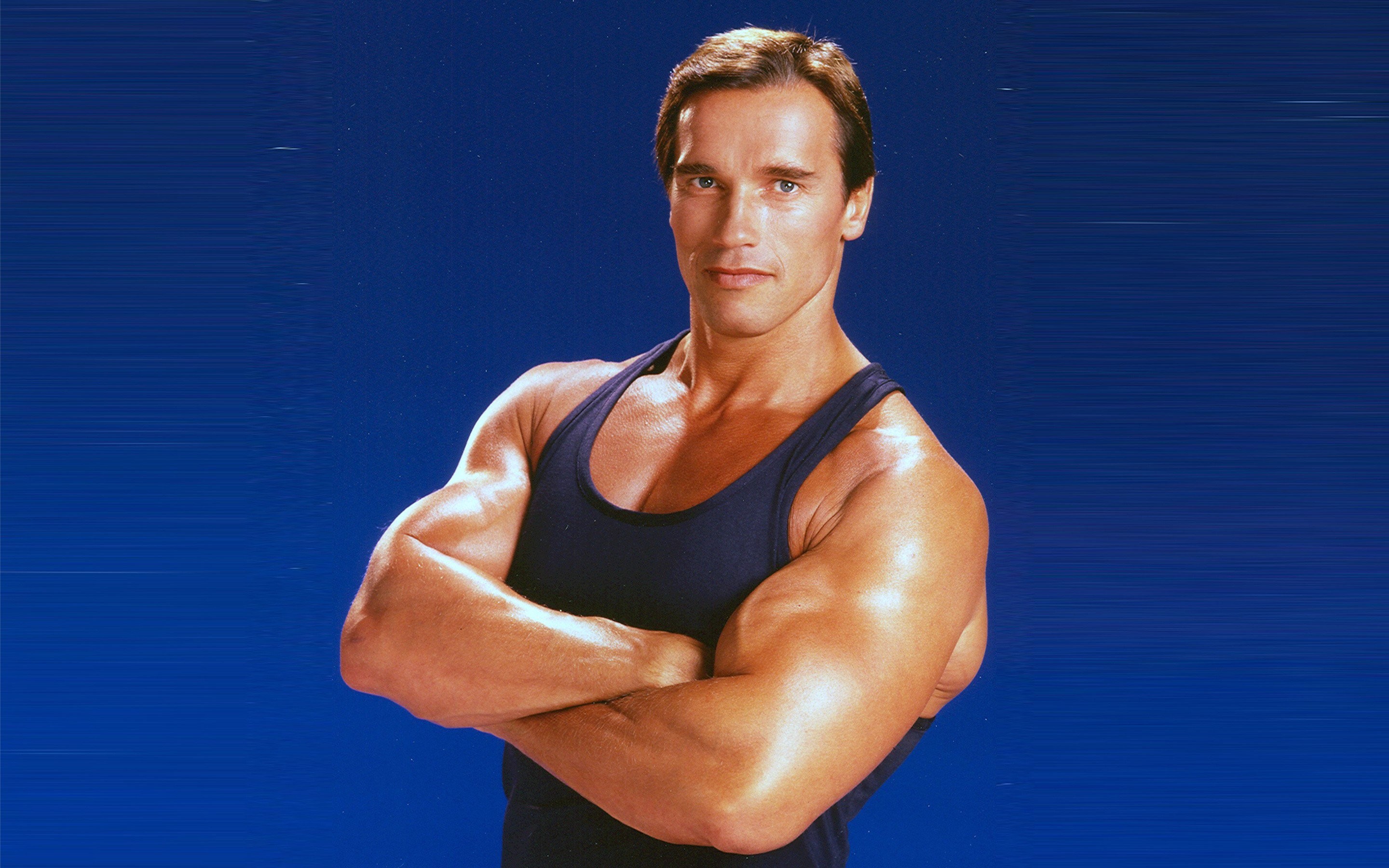 Arnold Wallpaper Phone