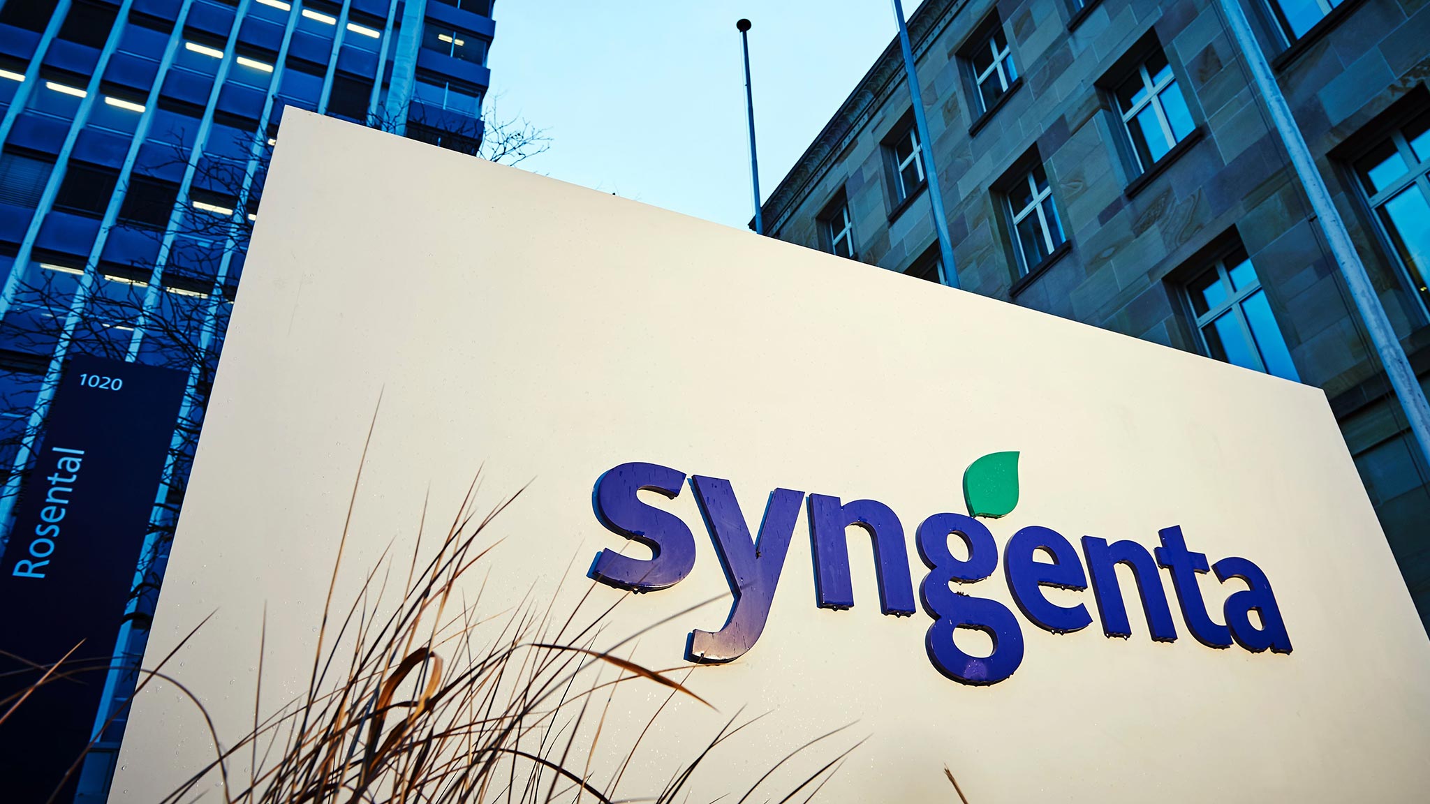 Syngenta Chief Points To Brexit Boost For Uk S Crop Regulations