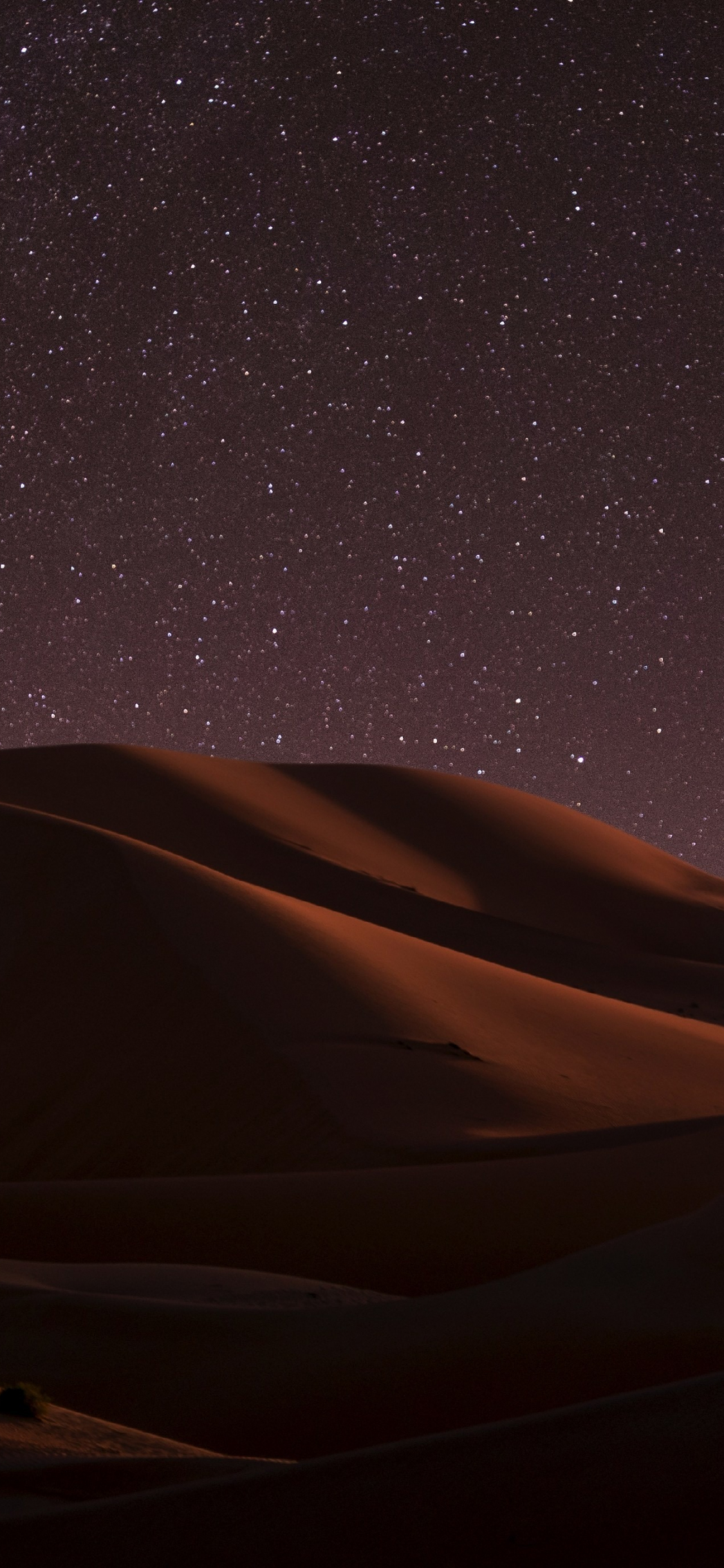 Desert Nighttime Stars Skyline Wallpaper