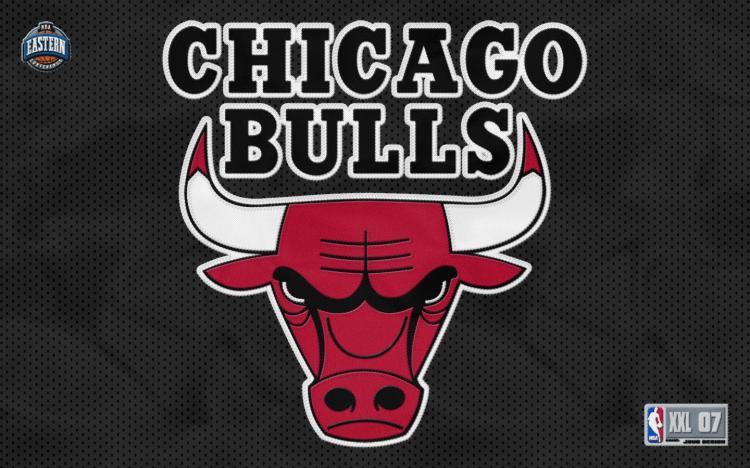 Chicago Bulls Team Logo Wallpaper 56p
