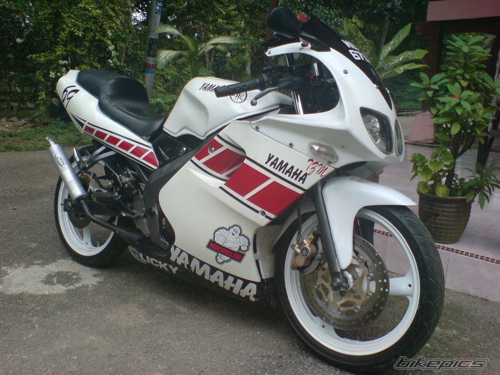 Yamaha Tzm Picture
