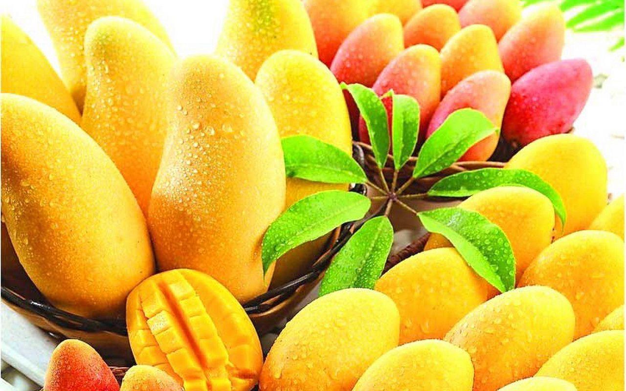Mango Wallpaper