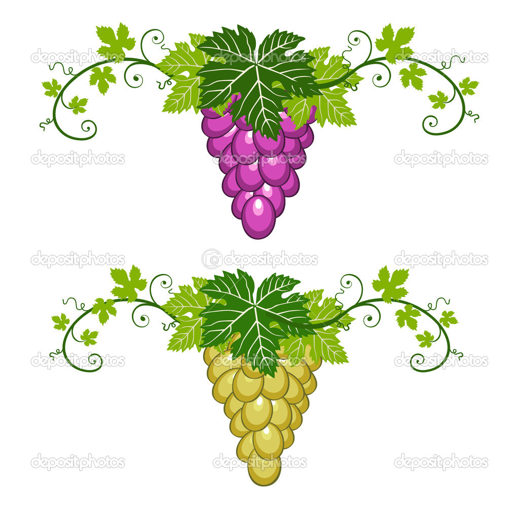 Grapes Garden Wallpaper