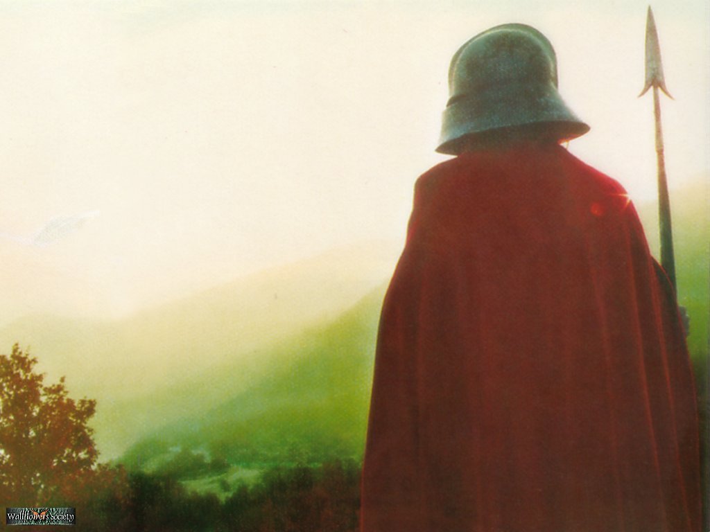 🔥 [40+] Wishbone Wallpapers | WallpaperSafari