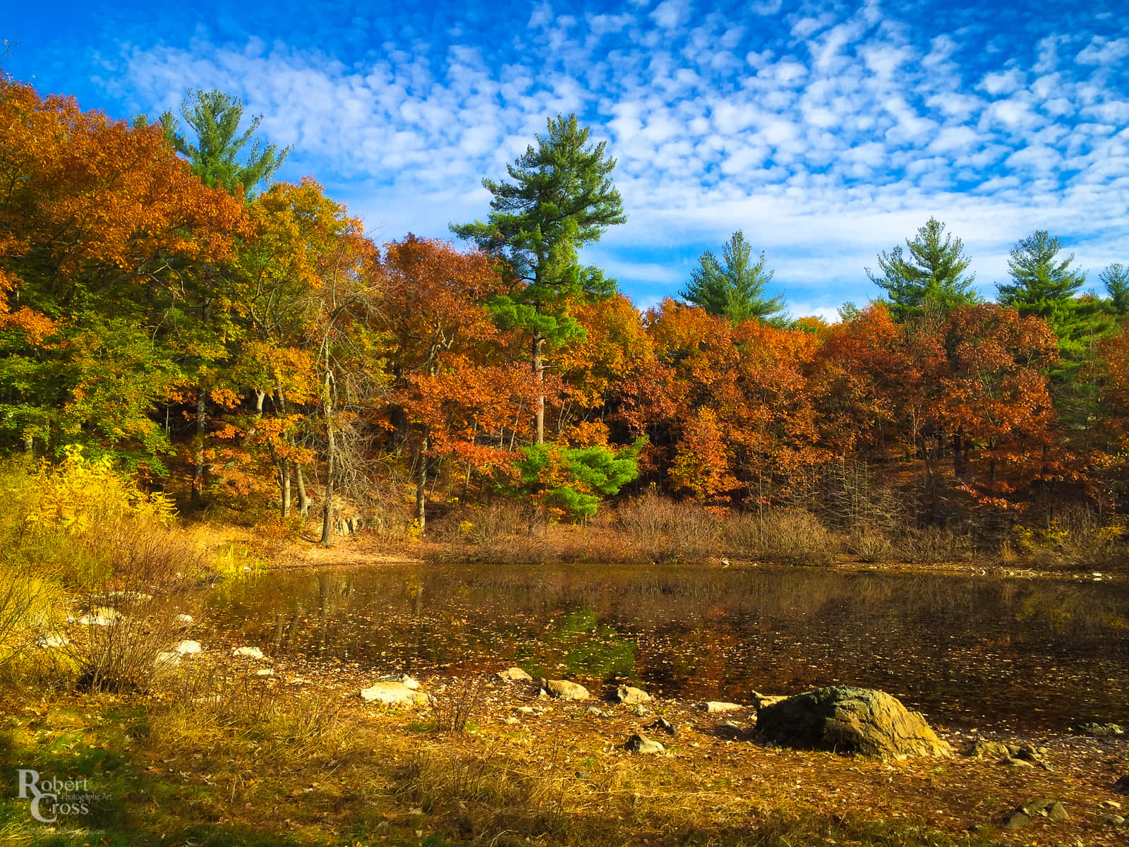 New England Autumn Wallpaper