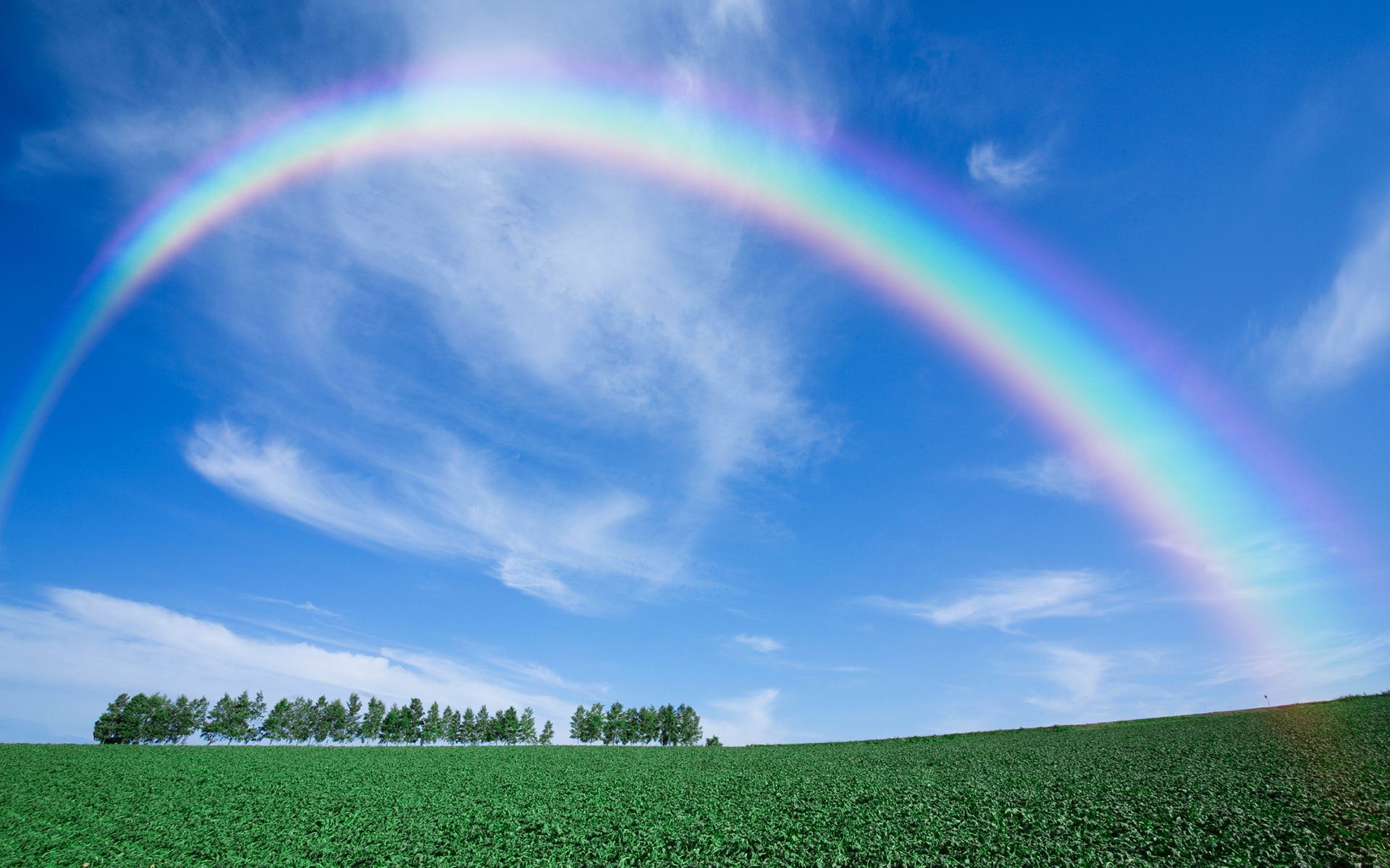 Rainbow Wallpaper Pictures Image