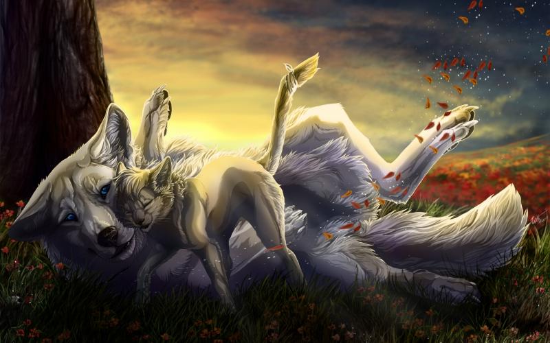 Tags Abstract Love Fantasy Wolf Wolves 3d