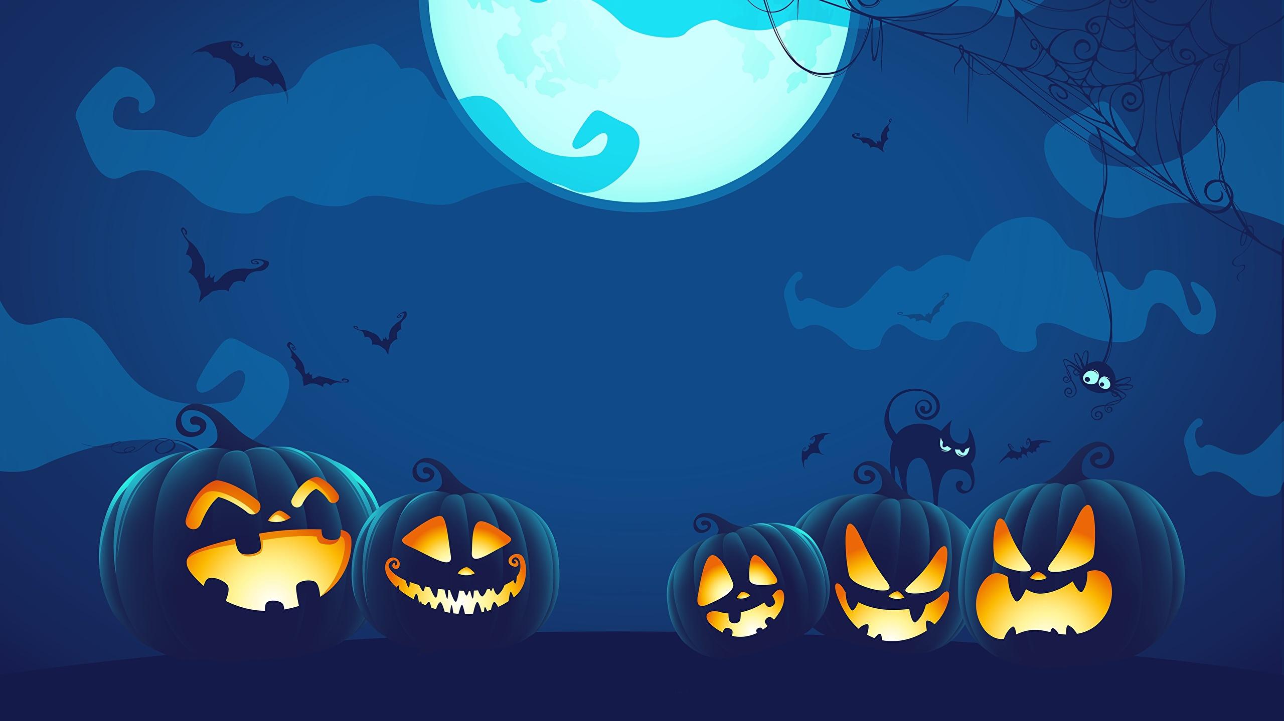 Wallpaper Pumpkin Halloween Moon Night Vector Graphics