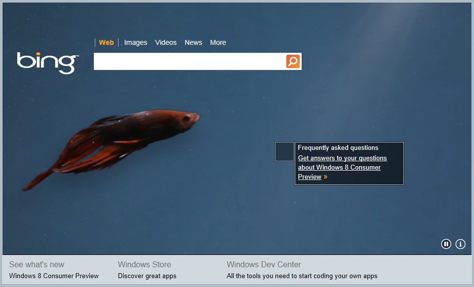 New Bing Video Background Touts Windows Consumer Pre Softpedia