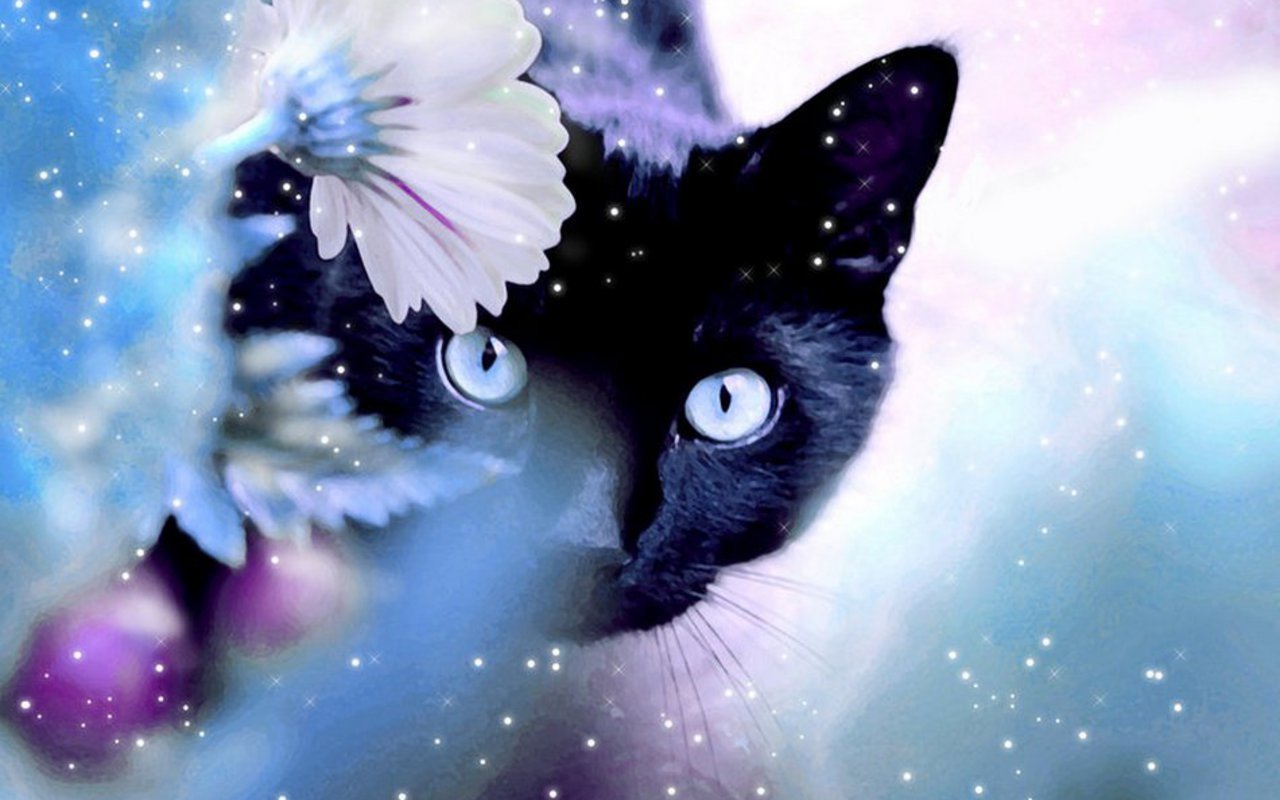 Free download BreaktimeFun Beautiful Cat Wallpaper [1280x800] for ...