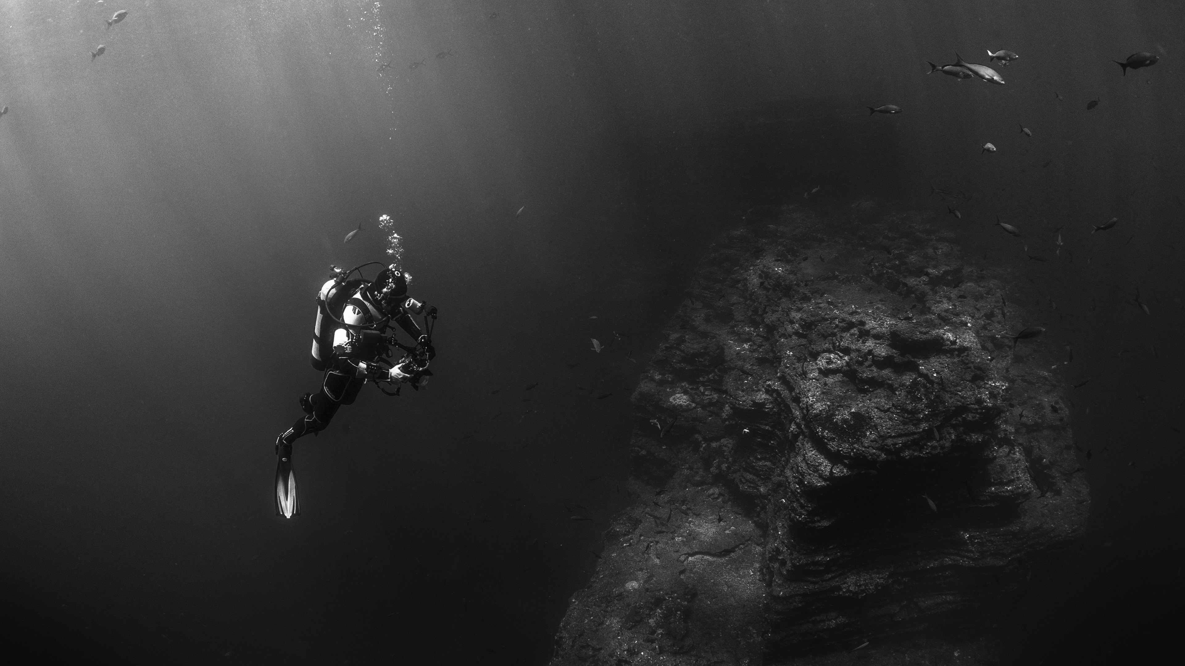 Diver In The Pacific Ocean HD Wallpaper 4k