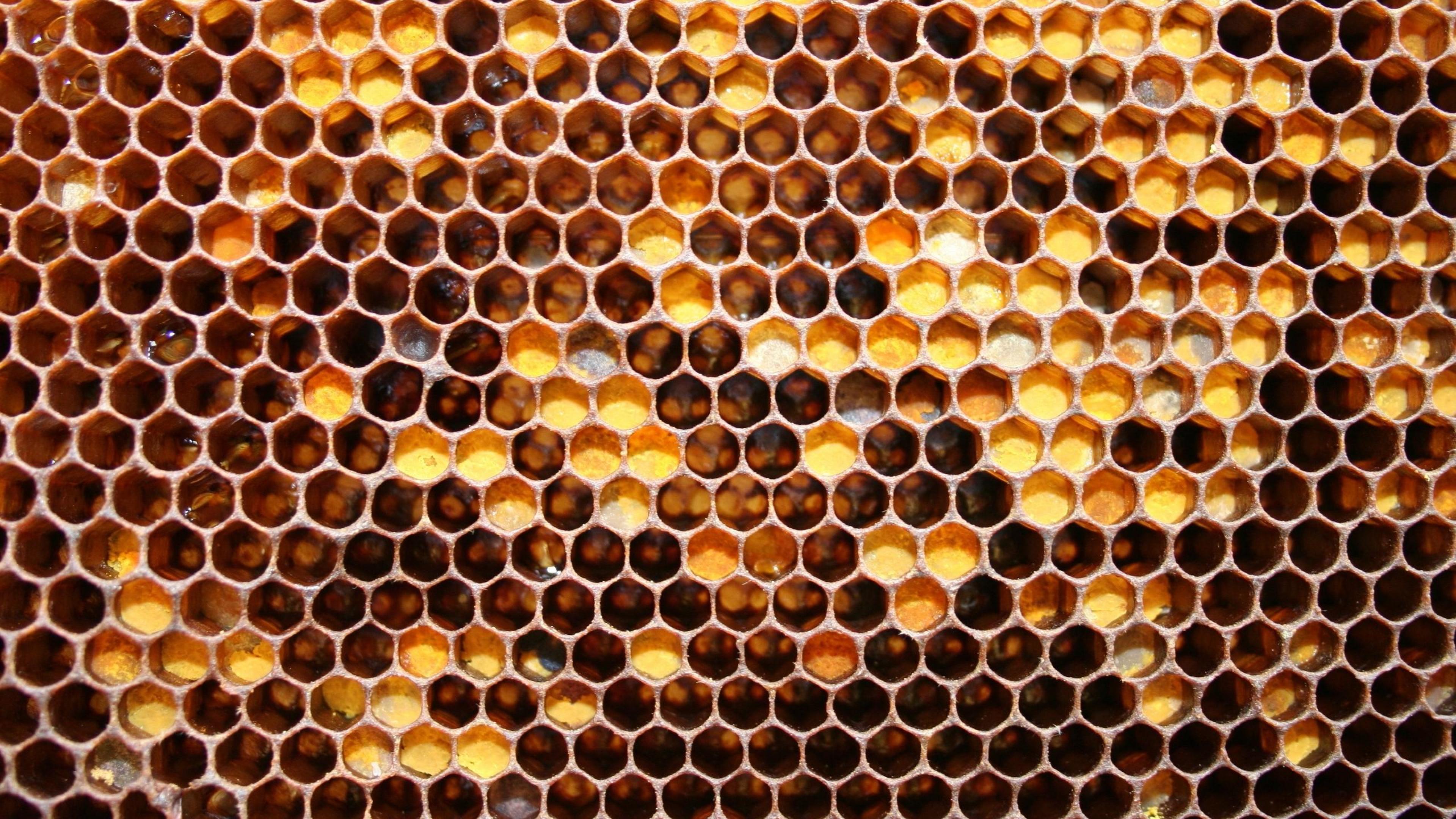 Honeycomb Wallpaper Abstract Hq Picture