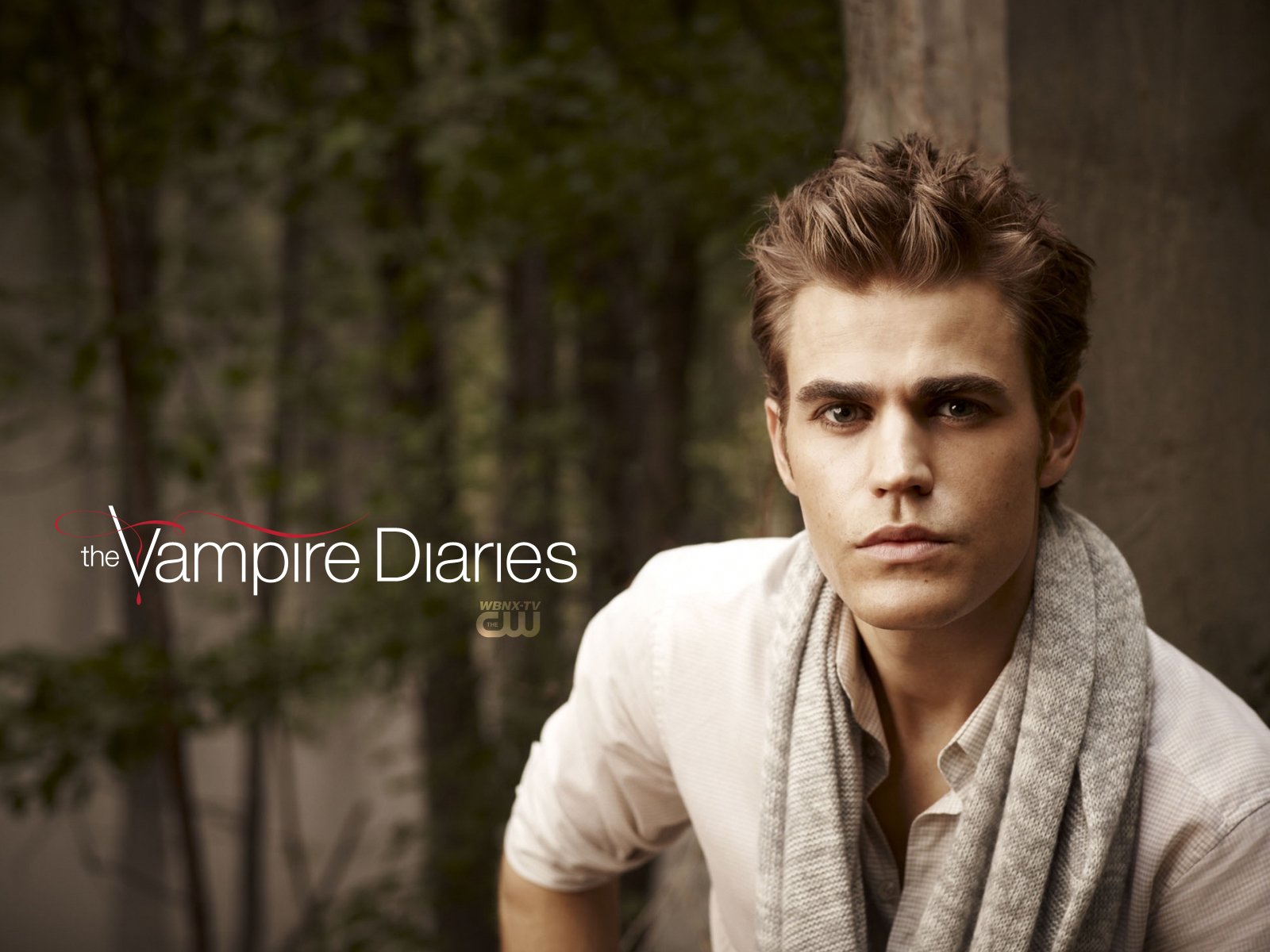 Damon Salvatore The Vampire Diaries Exclusive HD Wallpapers 1441 1600x1200