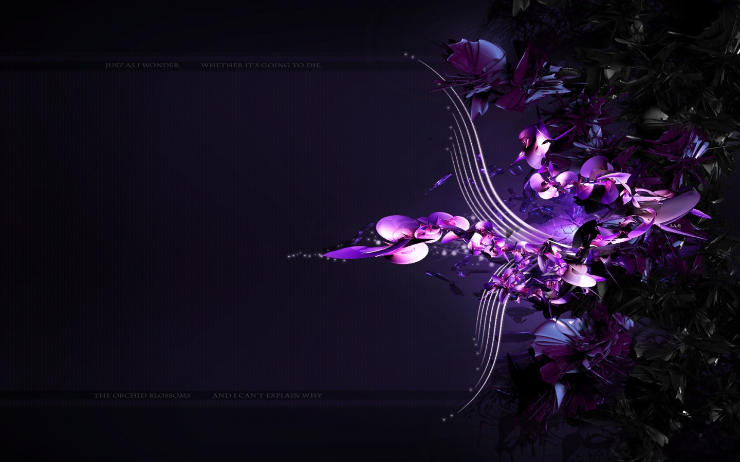 Purple Orchid Desktop Pc And Mac Wallpaper