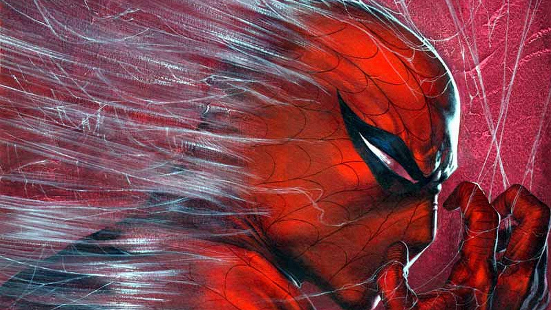 HD Spider Wallpaper