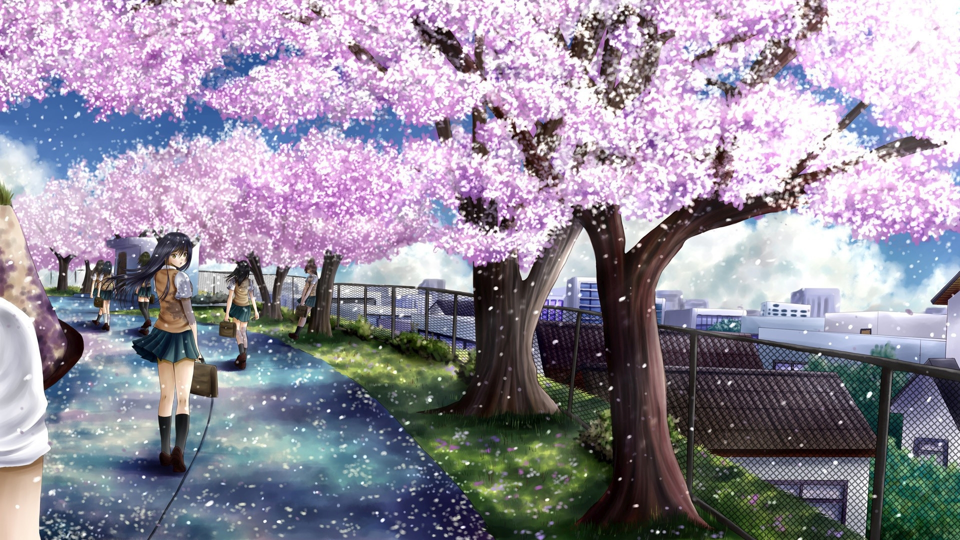 Cherry Blossom Anime Wallpaper