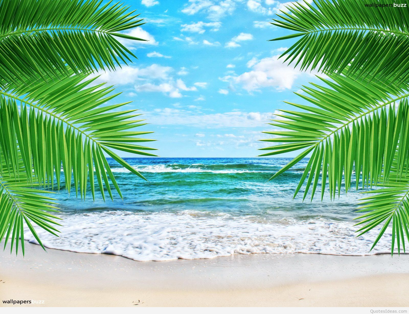 Free Download Summer Wallpaper 31 High Quality Summer Wallpapers Full