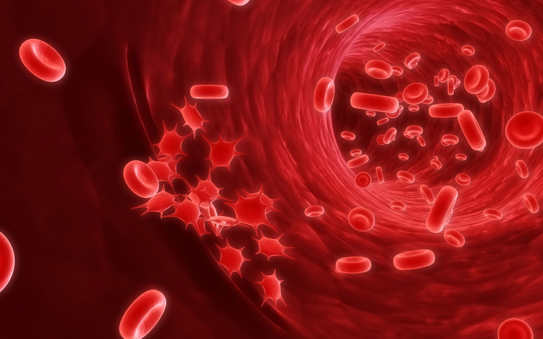 Blood Cells Wallpaper