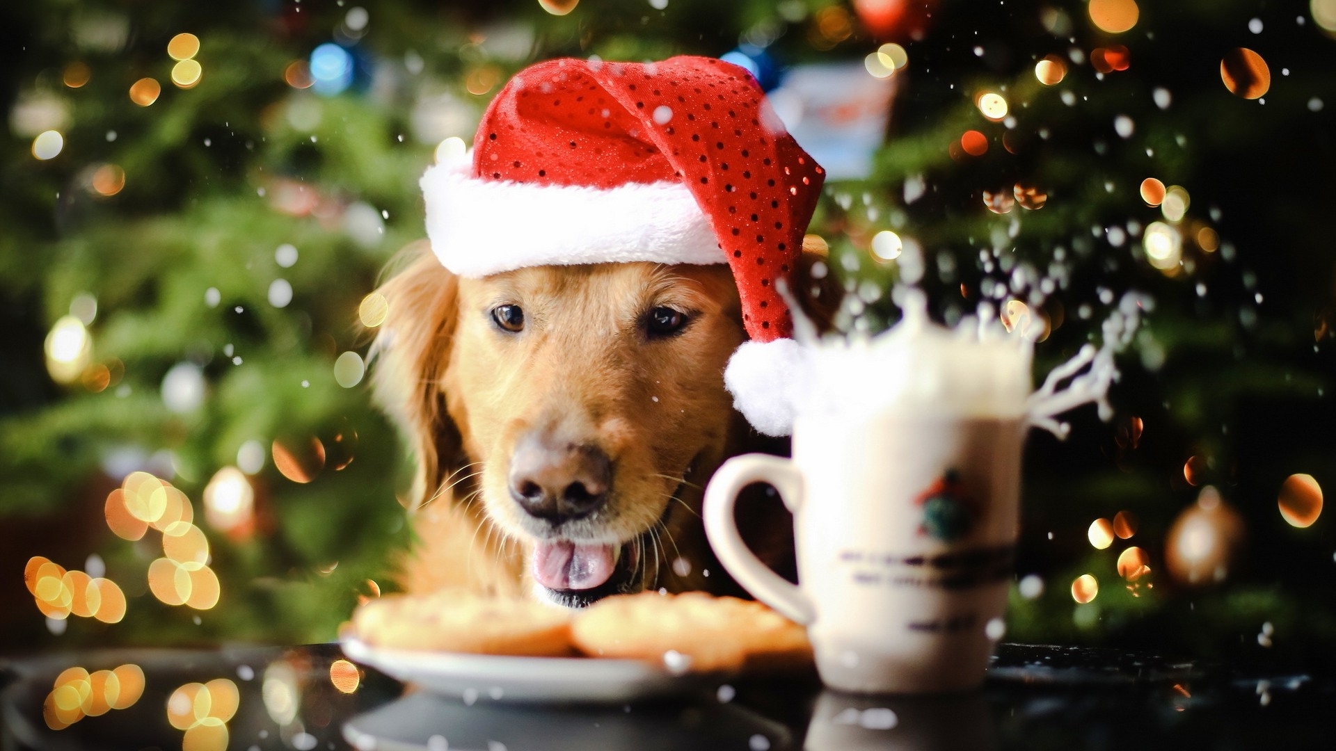 Cute Puppy Spreading The Christmas Spirit Wallpaper