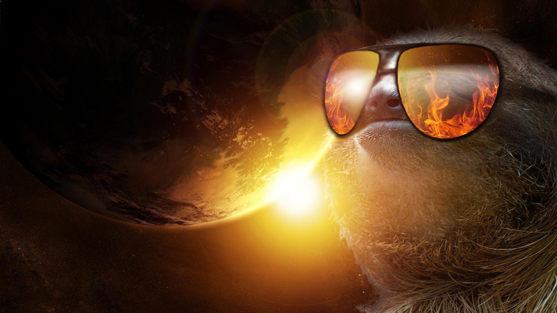 Animals For Sloth Sunglasses Wallpaper