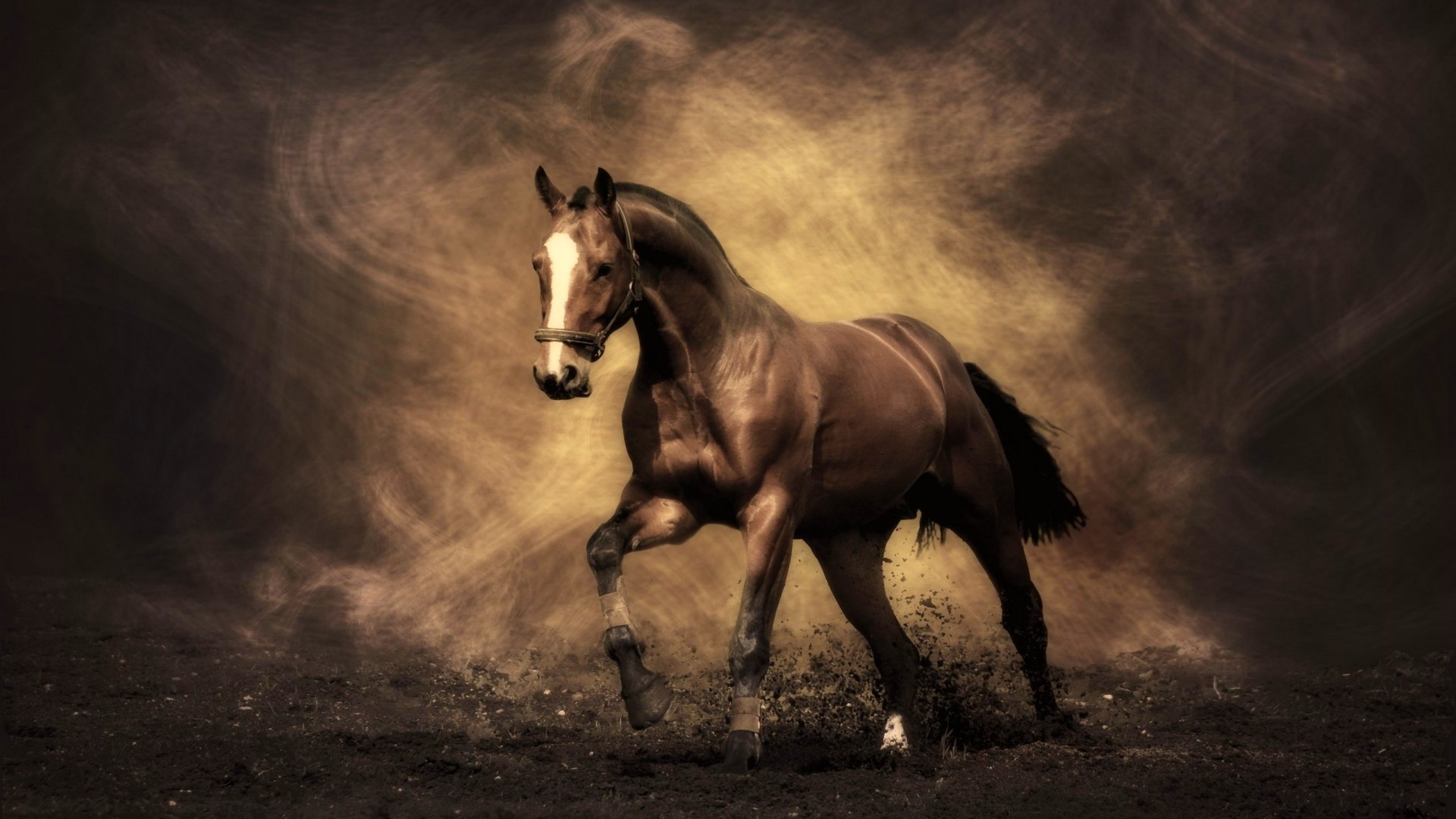 A powerful brown horse gallops through a dark, dusty arena, its muscular body and flowing mane illuminated by a golden light. The horse's energy and grace are captured in a dynamic pose, showcasing its strength and beauty