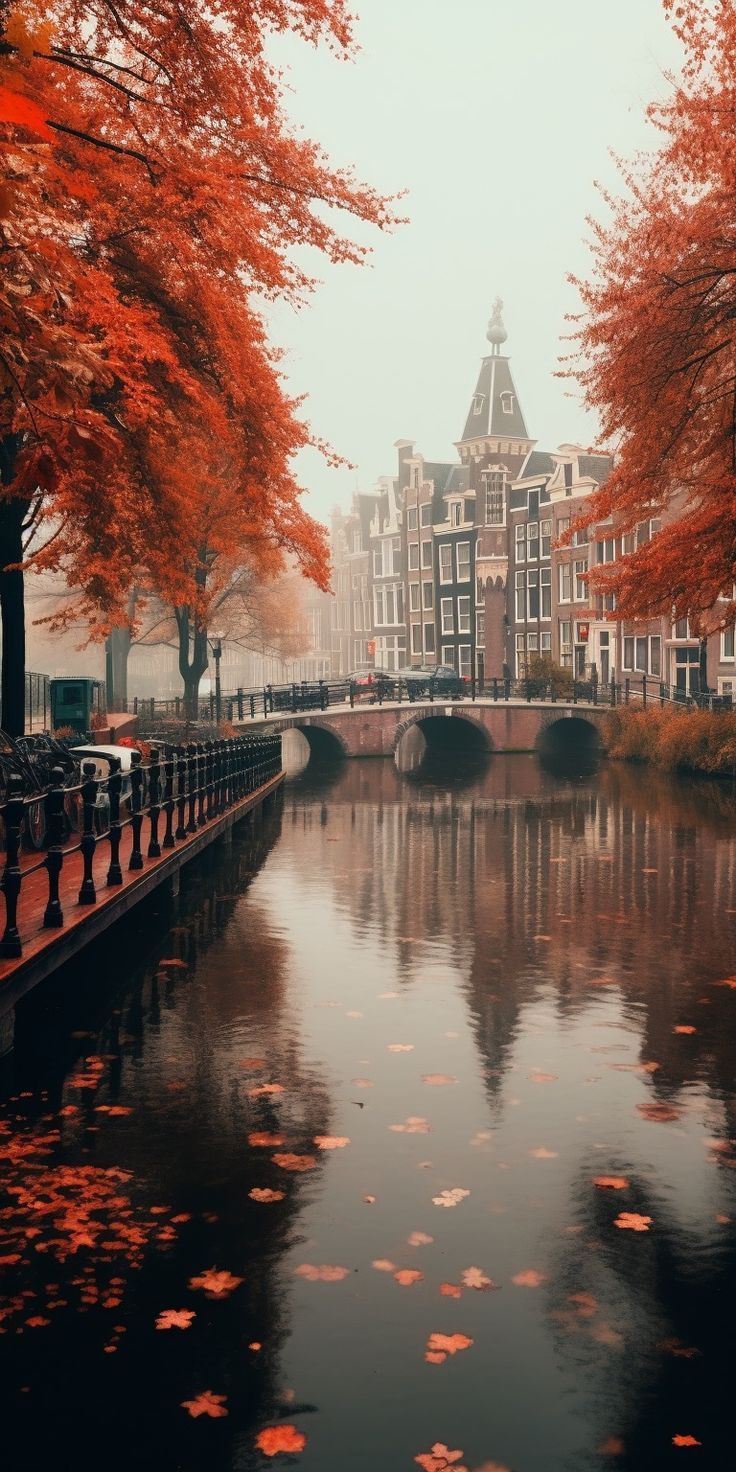Gorgeous Fall Phone Wallpaper Artofit