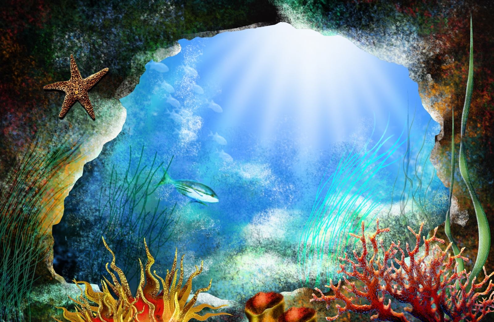 Sea Life Puter Wallpaper Desktop Background Id