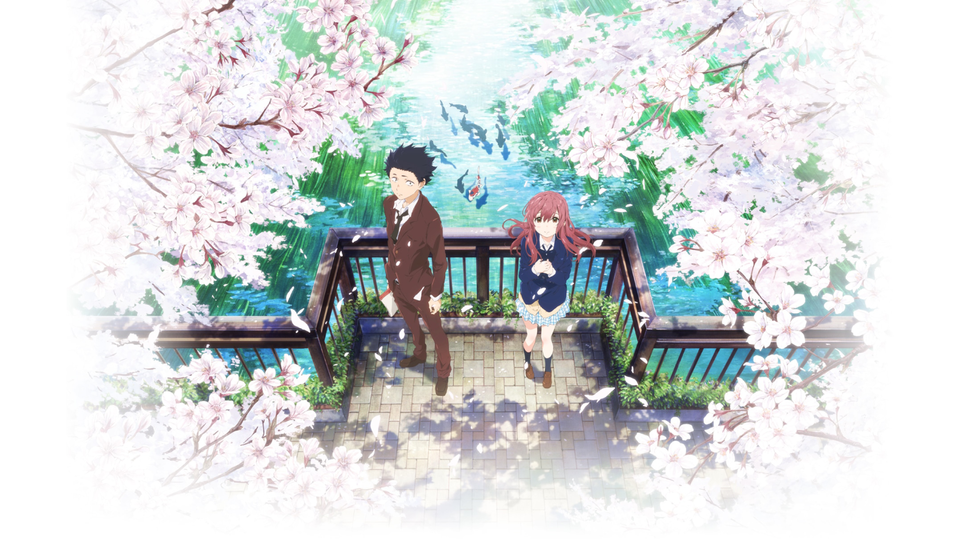 Koe No Katachi HD Wallpaper Background Image