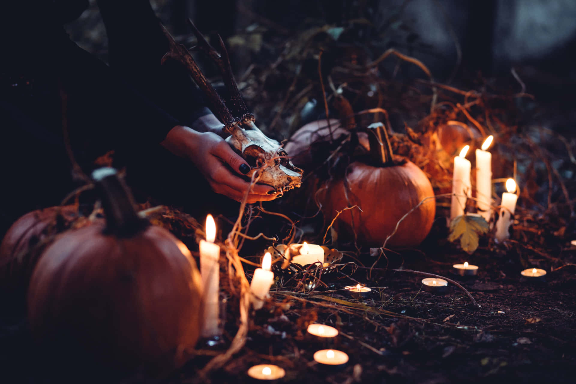 Halloween Witch Aesthetic Wallpaper