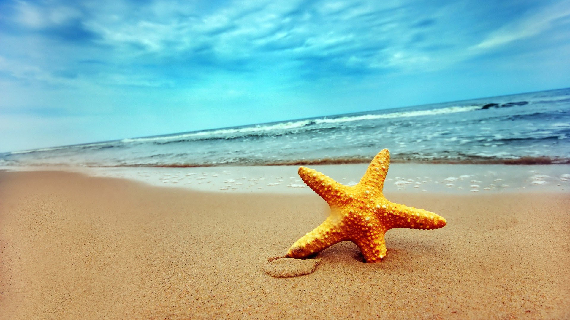And Starfish The Sand Wallpaper Car Pictures