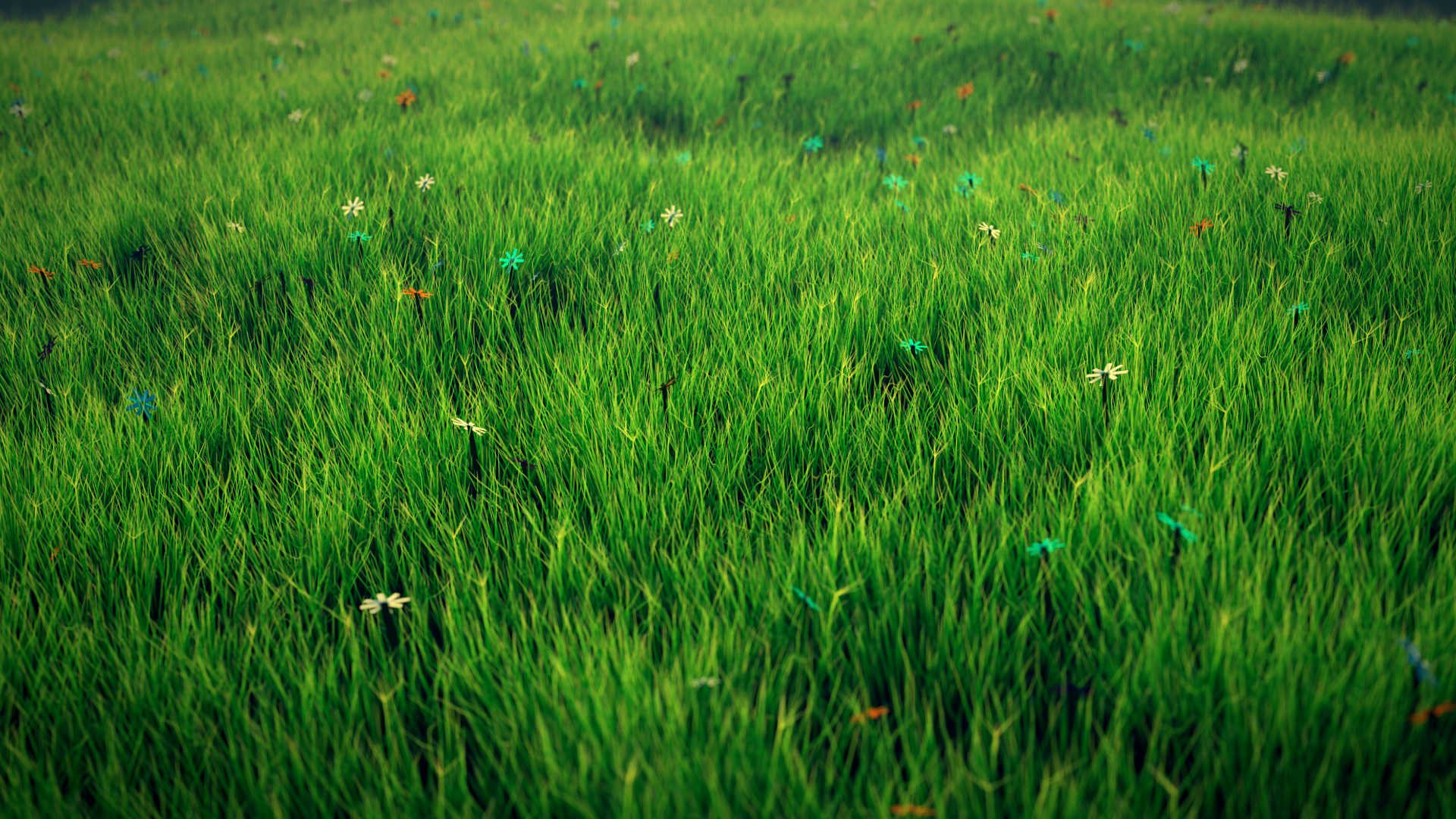 Grass HD Wallpaper Background Image Id