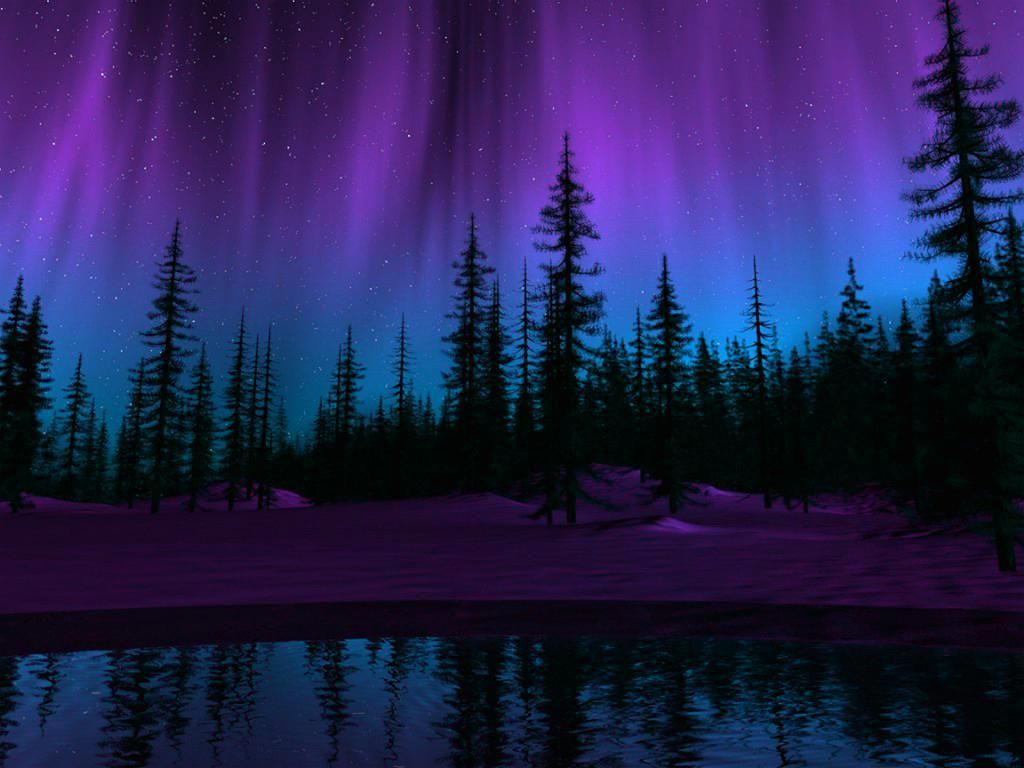 Purple Northern Lights Wallpaper On