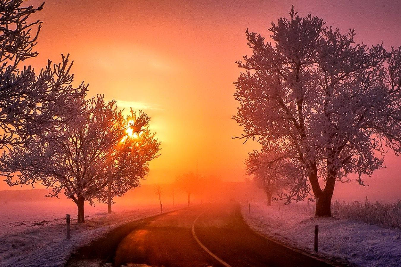 November Wallpaper