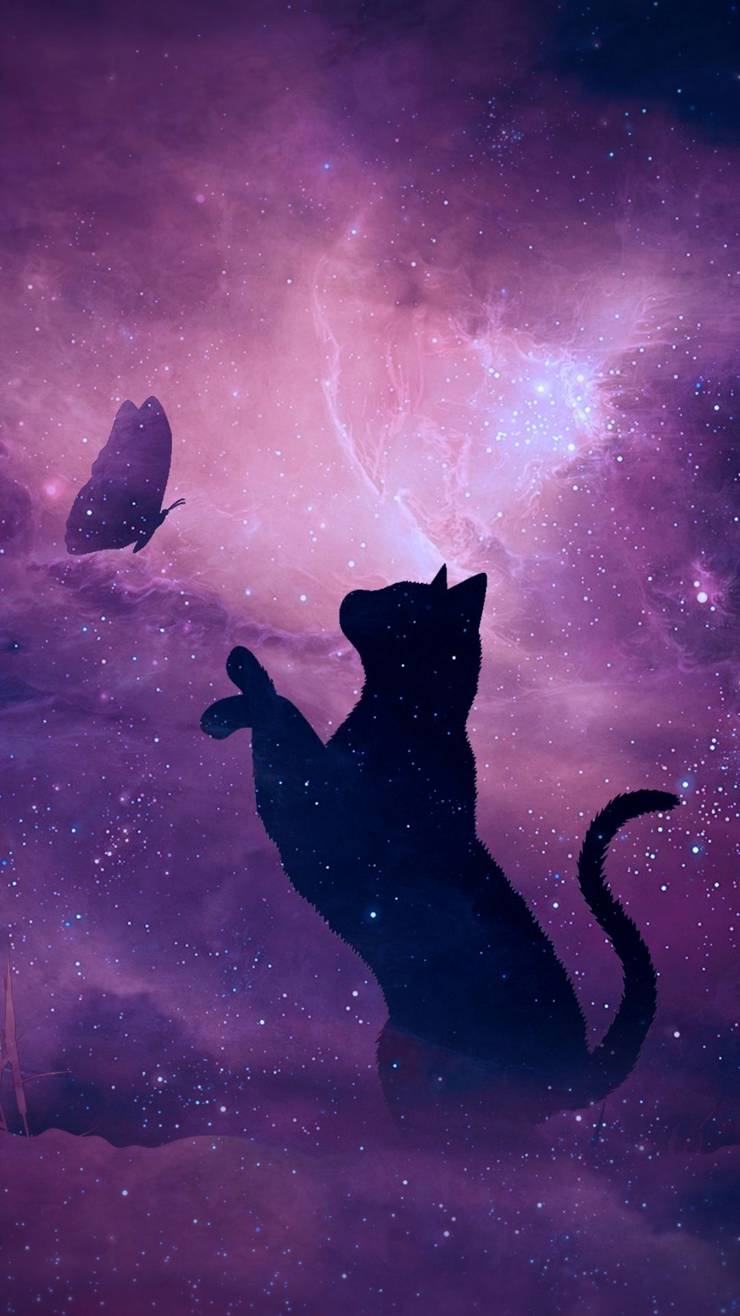Black Cat Galaxy Wallpapers on WallpaperDog