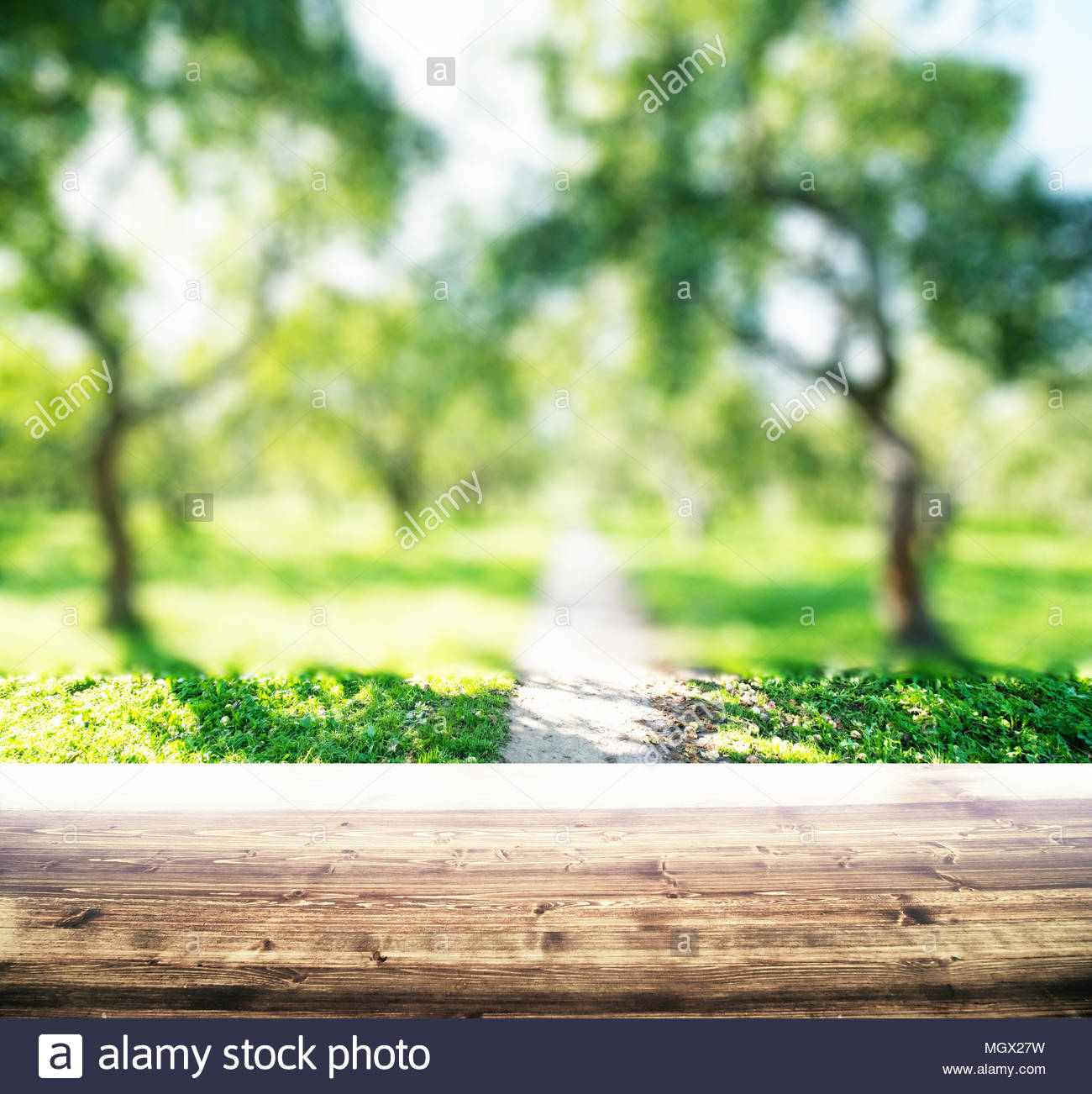 Park Blur Background Stock Photo
