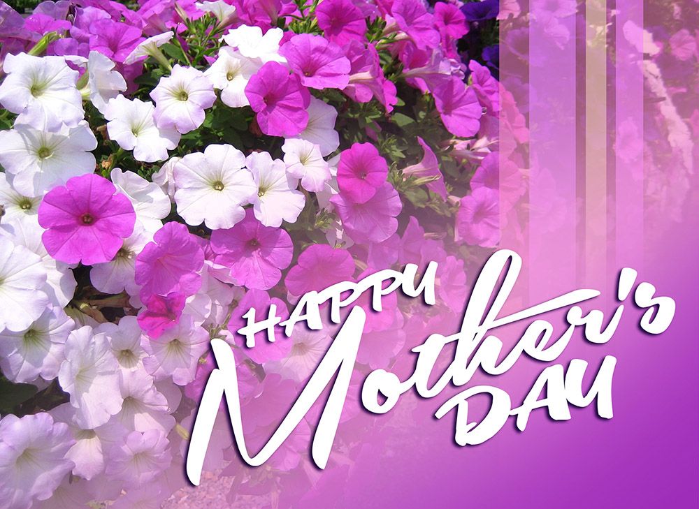 Purple Happy Mothers Day Wishes Image