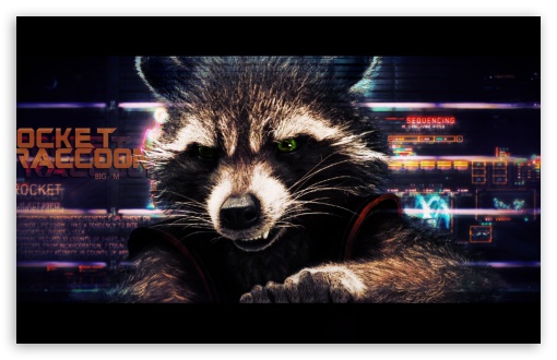 Rocket Raccoon Guardians Of The Galaxy HD Wallpaper For High