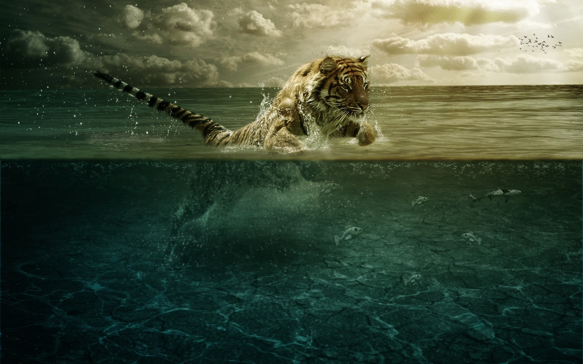 Digital Art Atmosphere Sea Tiger Split