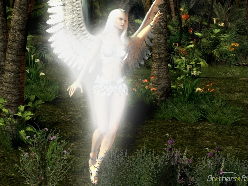 Angels Image Angel Of The Forest Wallpaper Photos