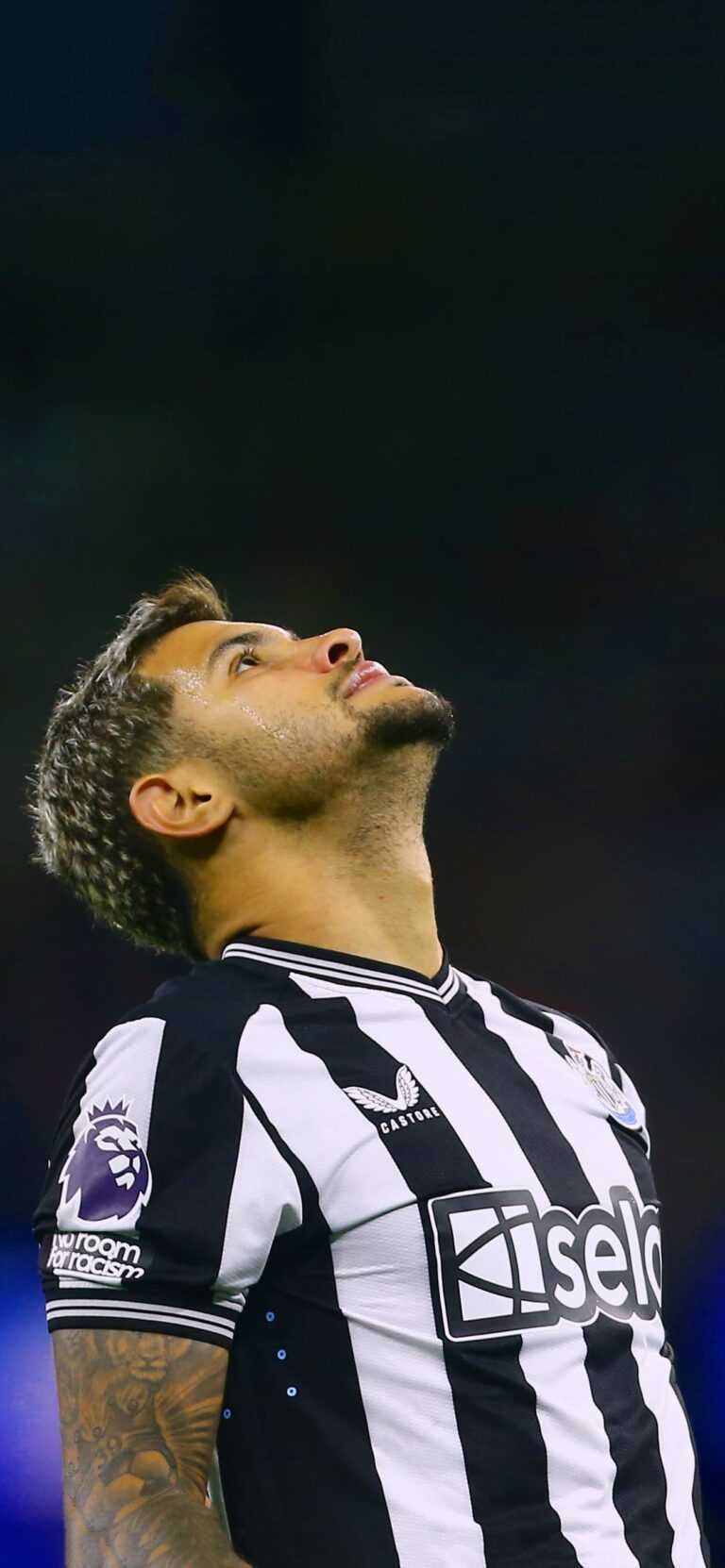 Bruno Guimar Es Wallpaper