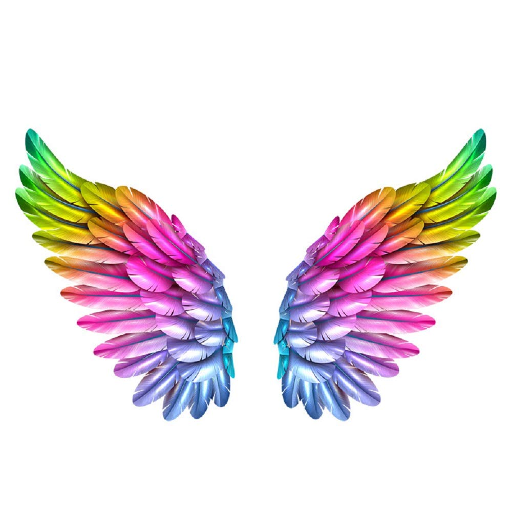 Amaonm Removable 3d Colorful Wings Wall Stickers Diy Pvc Home