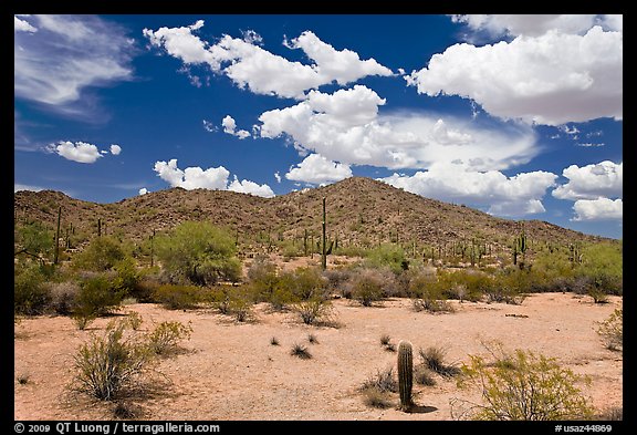  Desert landscape Sonoran Desert National Monument Arizona USA 576x393