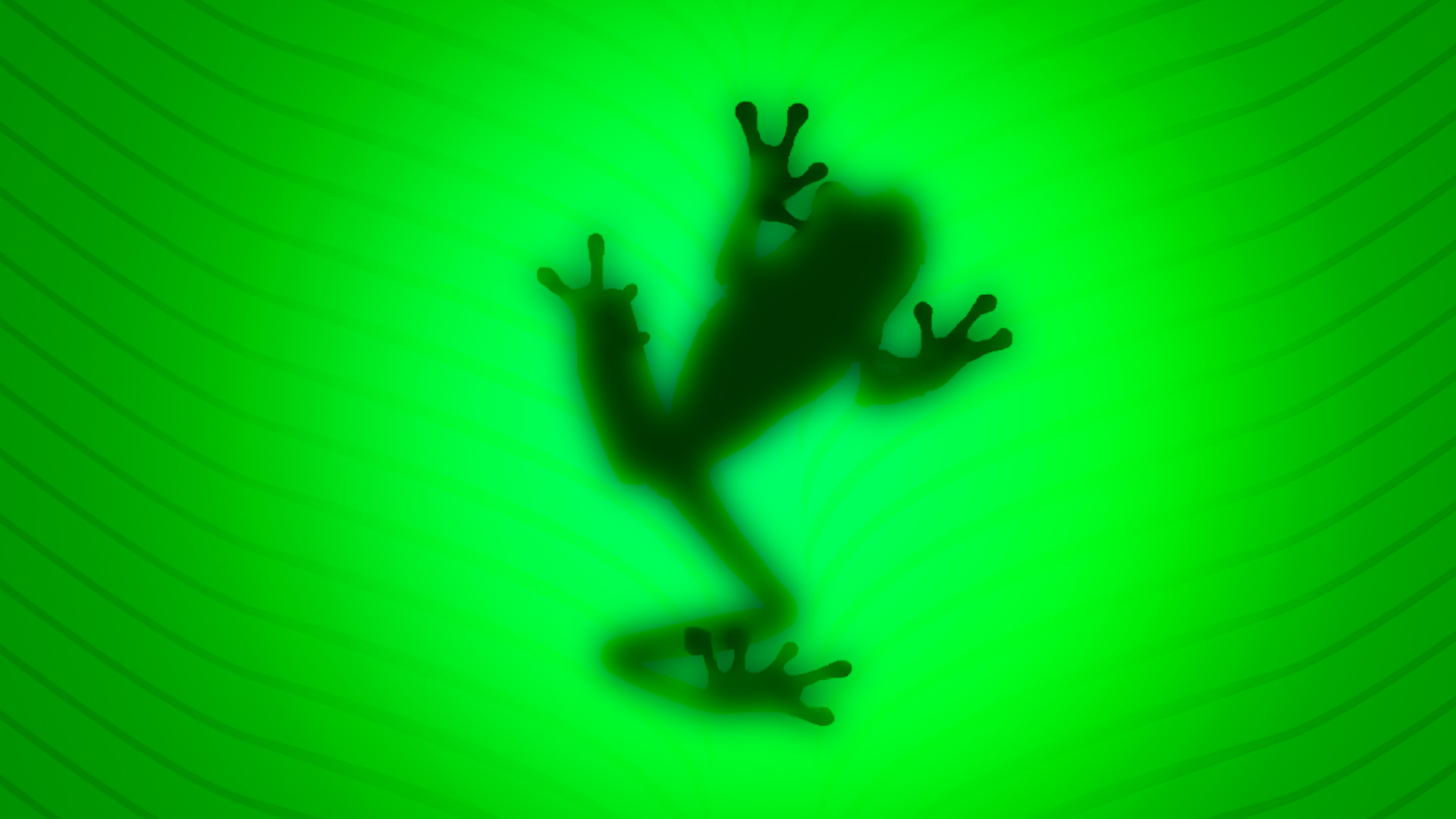 Frog wallpaper 157545 1920x1080