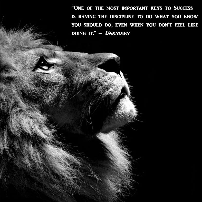 Quote Of The Day Daily Quotes Lion Photography Profile