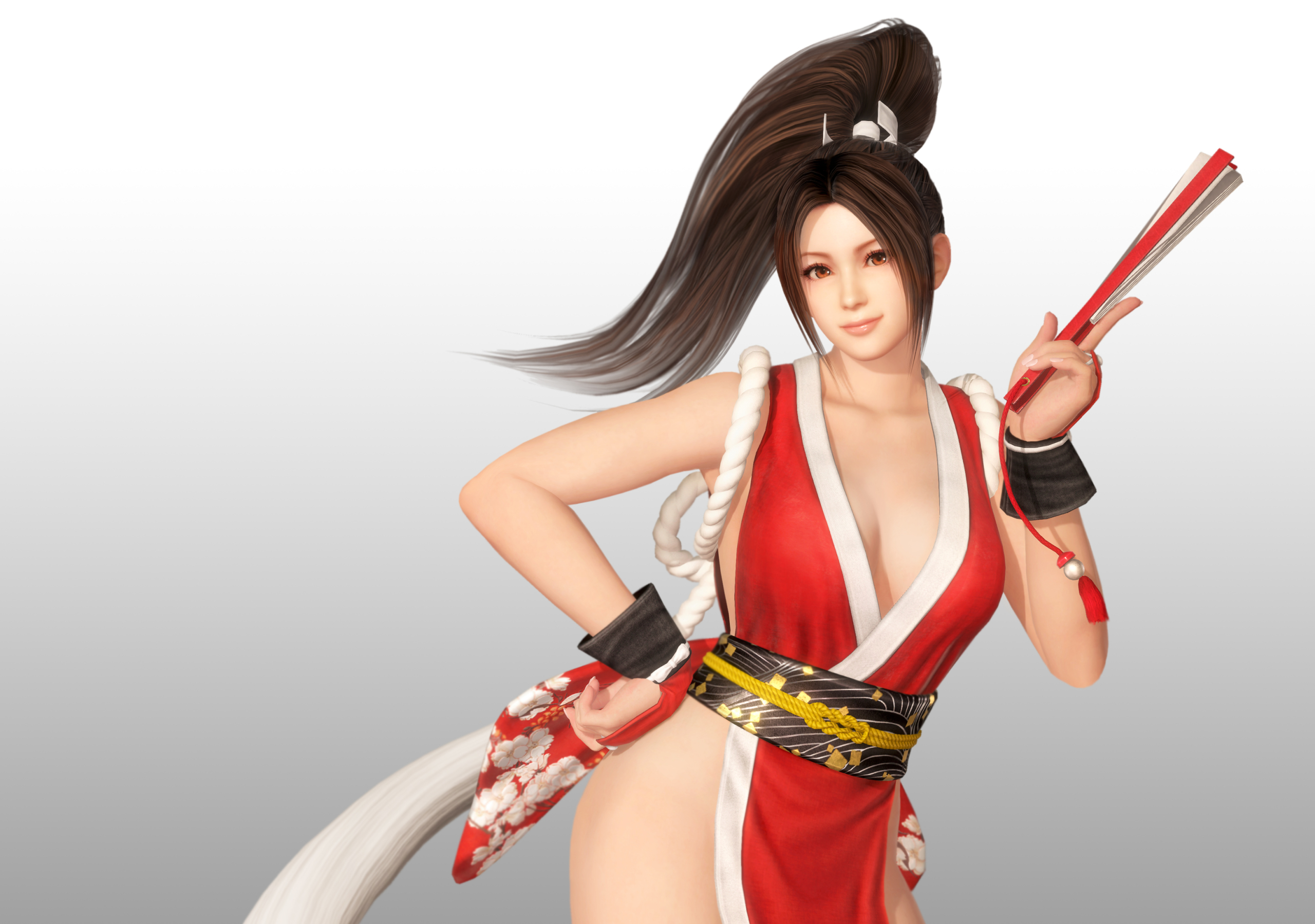 Dead Or Alive Mai Shiranui Resolution