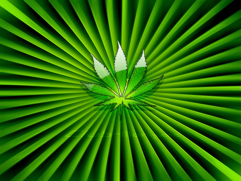 Marijuana Leaf Gif Vote Logo Jpg Effects Dare